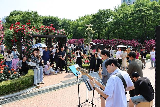 ‘장미꽃 필 무렵’ 축제 모습./대구시 제공