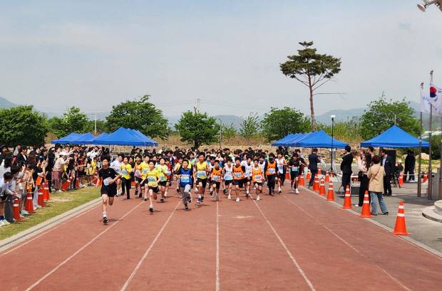 지난 28일 2026 포항시장기 및 육상연맹회장배 초등학교 단축마라톤대회가 열린 가운데 참가 학생들이 출발선을 힘차게 달려 나가고 있다. 포항교육지원청 제공