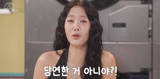 가수 소유
