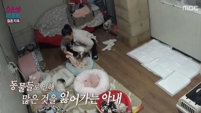 MBC 예능 ‘오은영 리포트-결혼 지옥’ 제공.