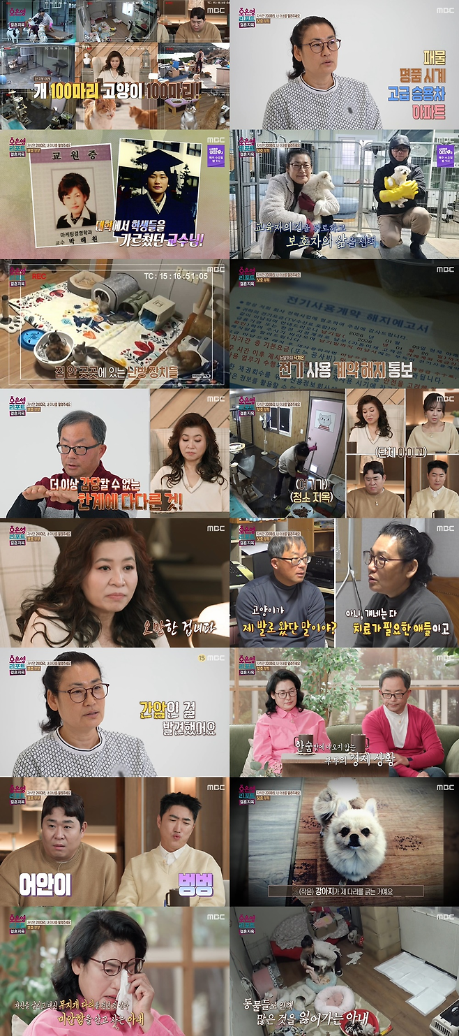 MBC 예능 ‘오은영 리포트-결혼지옥’ 제공.