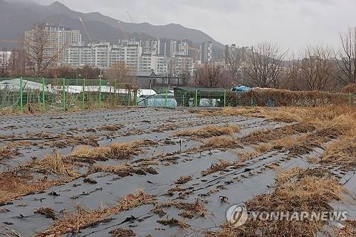 정부가 전국 농지 소유자를 대상으로 처음으로 전수조사를 벌이는 방안을 추진 중인 가운데 2일 수도권 내 한 농지 너머로 아파트 단지 등 재개발 구역이 들어서 있다. 연합뉴스