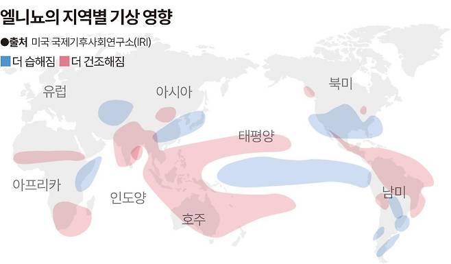 엘니뇨의 지역별 기상 영향. 그래픽=송정근 기자