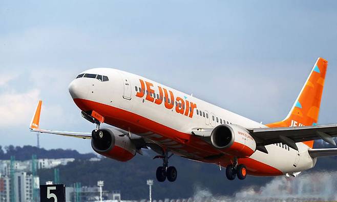 제주항공의 B737-800 항공기의 모습. 제주항공 제공