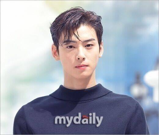 그룹 아스트로 멤버 겸 배우 차은우 / 마이데일리