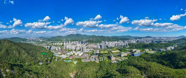 과천시 전경. 과천시 제공