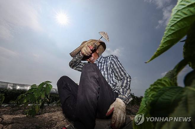 "밭일 나가시면 안 돼요"…부모님 동네 폭염 위험,