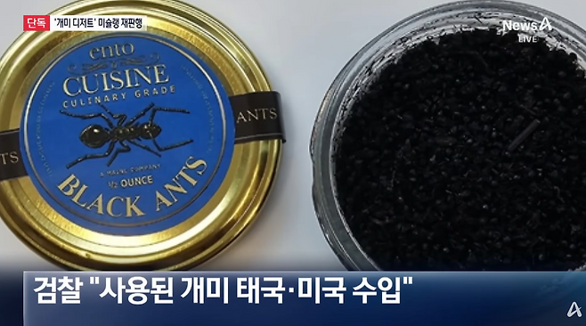 국내의 한 미슐랭 2스타 레스토랑이 미국과 태국에서 건조 상태의 개미 제품을 반입해 디저트 메뉴에 활용한 것으로 파악됐다. 채널A
