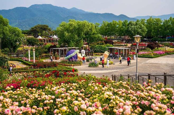곡성 세계장미축제에서는 전 세계의 장미 1000여종을 감상할 수 있다. /사진=한국관광공사