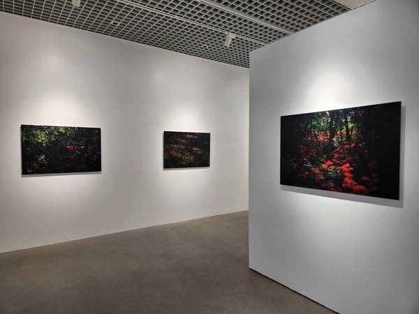 김선미 사진작가 개인전 <존재의 가치를 읽어줌>이 6월 7일까지 진주 PAC 갤러리에서 열린다. /류민기 기자