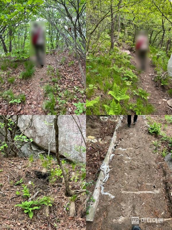 이런 비법정 탐방로가 금정산에만 800개가 넘게 있다고 한다. 이런 길을 걷다 보면 왼쪽 하단과 같은 오소리 굴도 만날 수 있다./사진=미디어펜 유태경 기자