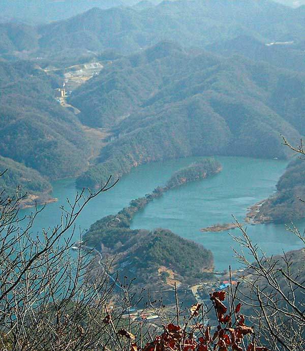 2011년 고리산(환산) 산행 중 발견한 대청호 토끼.
