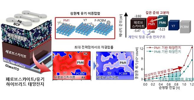 정공 전달 계단구조 설계 원리. 연구재단 제공