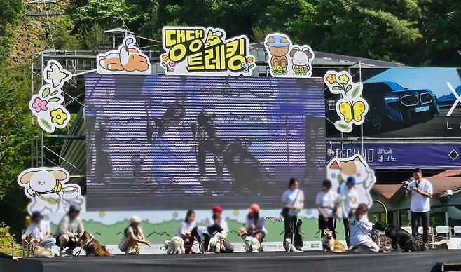‘우리집 댕댕이 자랑대회’에 참가한 보호자들과 반려견들. 박윤희 기자