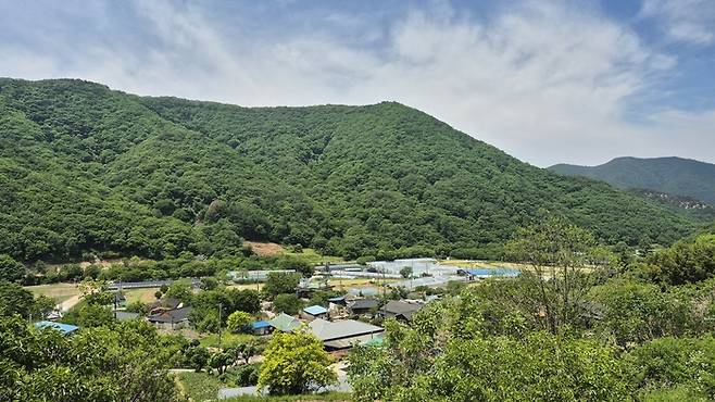 문복산과 백운산 자락에 둘러싸인 경주시 산내면 대현2리 시다마을 전경. 높은 산이 병풍처럼 마을을 감싸고 있어 바깥에서는 안쪽 풍경이 쉽게 보이지 않는 깊은 골짜기 자연마을이다. <장성재 기자>