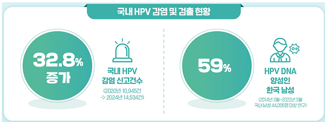 국내 HPV 감염 및 검출 현황 ⓒ한국MSD