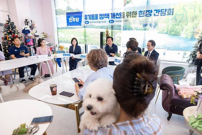 더불어민주당 총괄상임선대위원장인 정청래 대표가 18일 충남 아산의 한 고양이 카페에서 동물권 활동가들과 간담회를 하고 있다. 연합뉴스