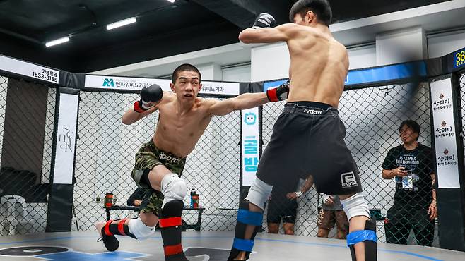 KMMA 플라이급 챔피언 문순수(왼쪽)가 다카다 마오에게 강력한 바디샷을 날리고 있다. 뽀빠이연합의원KMMA파이터에이전시 제공