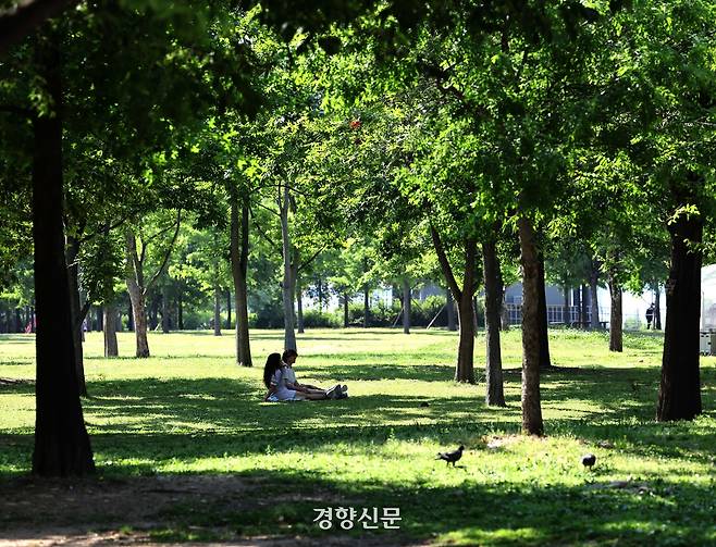 초여름 더위를 보인 22일 서울 여의도 한강공원을 찾은 시민들이 나무 아래 그늘에 앉아 있다. 2026.5.22. 강윤중 기자
