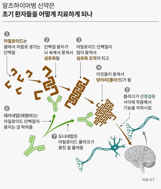 레켐비(성분명 레카네맙), 키순라(도나네맙) 등 알츠하이머병 치료 신약의 원리. /일러스트=손민균
