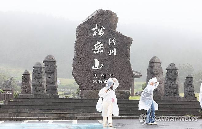비바람 치는 제주 (서귀포=연합뉴스) 박지호 기자 = 비바람이 몰아친 26일 제주 서귀포시 대정읍 송악산을 찾은 관광객이 비옷을 입고 이동하고 있다. 2026.5.26 jihopark@yna.co.kr