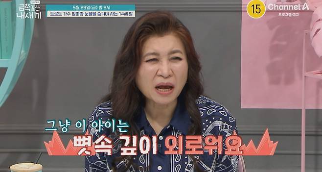 채널A '요즘 육아 금쪽같은 내새끼'