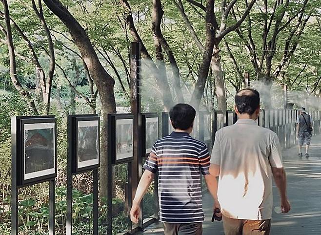 서울 보라매공원 내 쿨링포그. ⓒ서울시