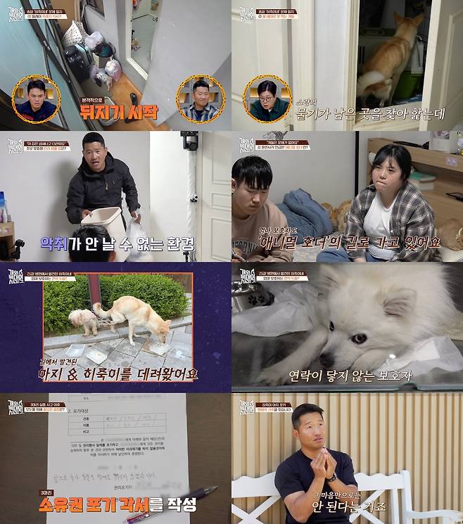 채널A ‘개와 늑대의 시간2’
