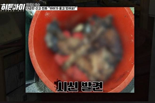 출처:MBC에브리원 '히든아이'