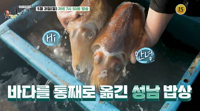 '백반기행' 모듬조개소고기샤부샤부, 갑 오징어 샤부샤부, 백합찜 맛집