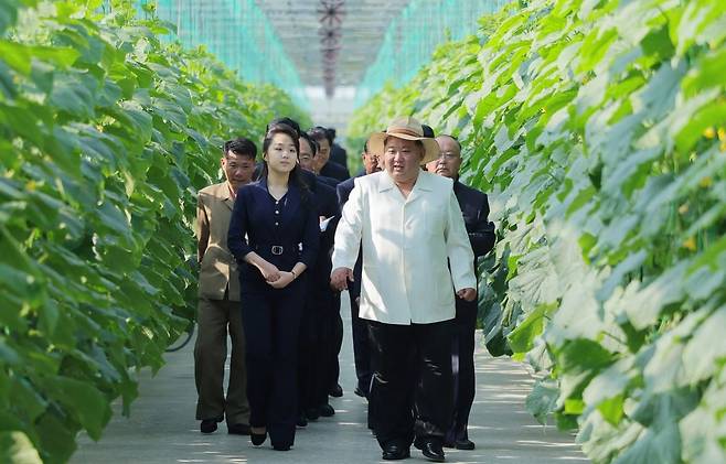 김정은 북한 국무위원장이 31일 딸 주애와 함께 신의주온실종합농장을 시찰하고 있다. 연합뉴스