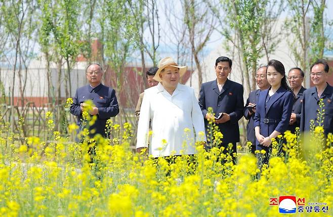 김정은 북한 국무위원장이 31일 딸 주애와 함께 신의주온실종합농장을 시찰하고 있다. 연합뉴스