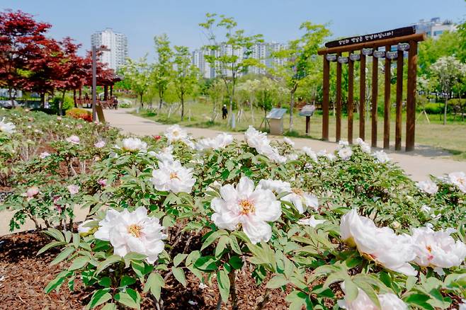 고인돌공원 모란정원. 오산시 제공