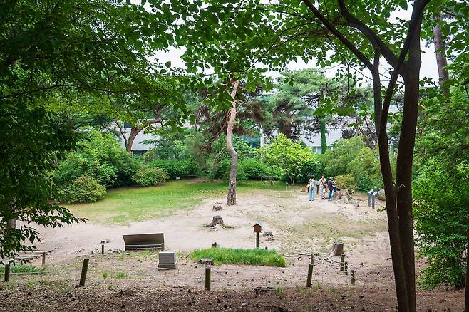 홍릉숲은 원래 명성황후의 능(홍릉)이 있던 곳이다. 지금은 터만 남아 있다. 백종현 기자