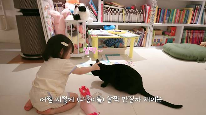 사진=박수홍 유튜브