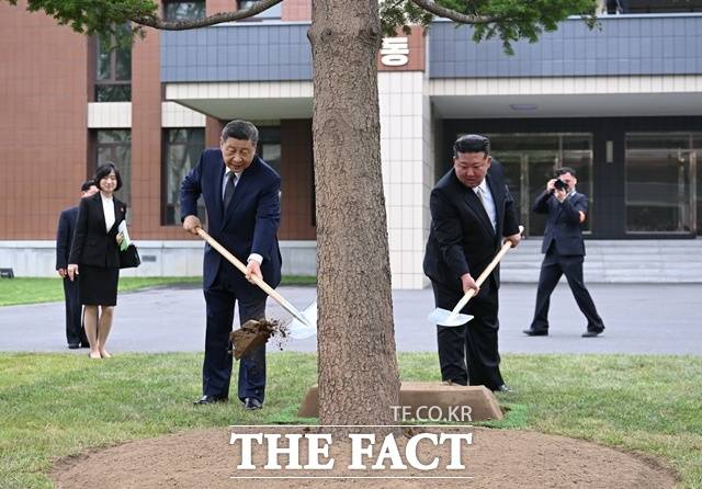 김정은 북한 국무위원장(오른쪽)과 시진핑 중국 국가주석은 9일 평양에 위치한 조선노동당 중앙간부학교를 방문해 전나무를 기념식수했다. /뉴시스. 신화통신