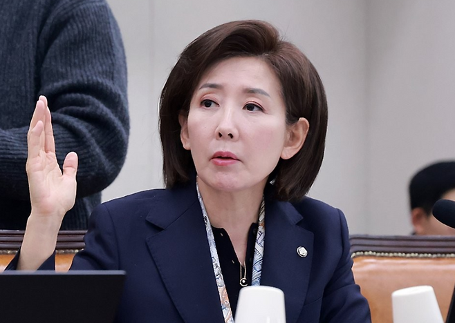 나경원 국민의힘 의원 / 사진=연합뉴스