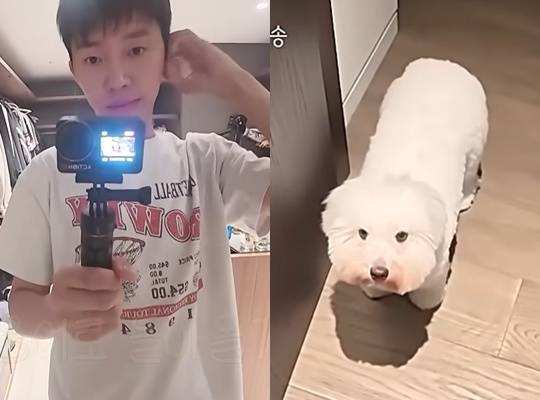 임영웅과 반려견 시월이 /사진=영상 캡처