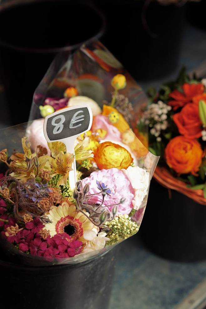 니스 여행자들은 살레야 광장 꽃시장(Marché aux Fleurs Cours Saleya)에서 싱싱하고 화사한 꽃을 구매한다. 꽃시장은 화요일부터 일요일까지, 월요일에는 다양한 빈티지 물건을 만날 수 있는 장이 열린다