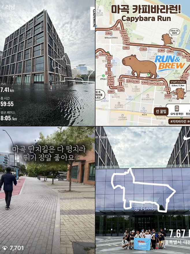 ‘카피바라런’ 인스타 갈무리