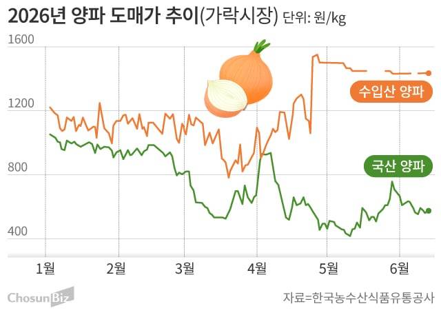 그래픽=손민균