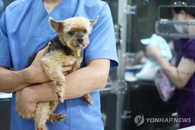 /연합뉴스