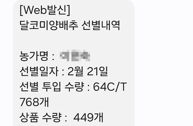 지역농협에서 농민에게 보낸 양배추 선별내역 문자. 이마저도 올해 3월부터는 끊겼다. 독자 제공
