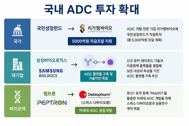 국내 ADC 투자 확대 사례표. (챗GPT 생성)