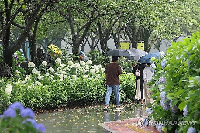 제주는 본격 장마철 (제주=연합뉴스) 박지호 기자 = 장마가 본격적으로 시작된 1일 제주시 구좌읍 송당리 동화마을을 찾은 관광객이 우산을 들고 산책하고 있다. 2026.7.1 jihopark@yna.co.kr