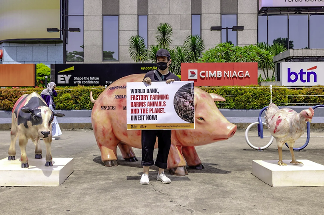 공장식 축산 금융 중단(Stop Financing Factory Farming) 활동가가 금융기업 앞에서 공장식 축산 반대 구호가 적힌 종이를 들고 있다. (사진 Stop Financing Factory Farming)/뉴스펭귄