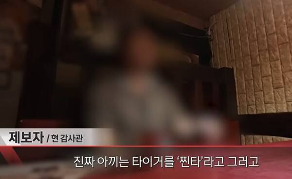 지난해 7월 15일 방영된 MBC PD수첩 '사냥이 끝난 후에 - 감사관의 증언' 편에서 현직 감사관이 유병호 사무총장과 타이거파에 관해 증언하고 있다. PD수첩 방송 화면 갈무리