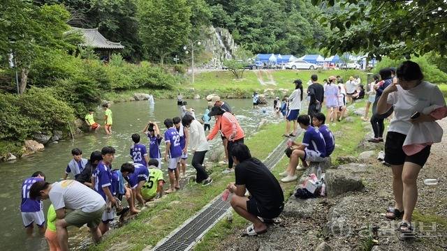 ‘2026 평창더위사냥축제’ 개막식이 지난 25일 평창 대화면 땀띠공원 일원에서 열린 가운데, 내방객들이 보물찾기 행사에 참여하고 있다.