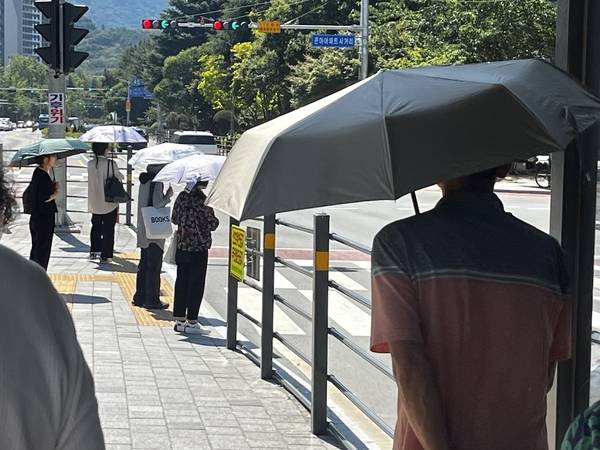 28일 오전 10시께 창원시 성산구 상남동 한 횡단보도 앞에 사람들이 서 있다. 모두 우양산을 쓰고 있다. /권민주 기자