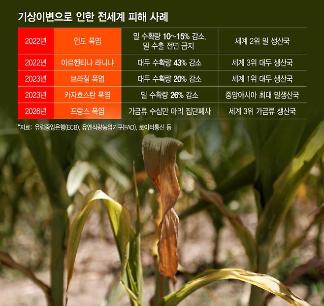 기상이변으로 인한 전 세계 피해 사례 /그래픽=이지혜